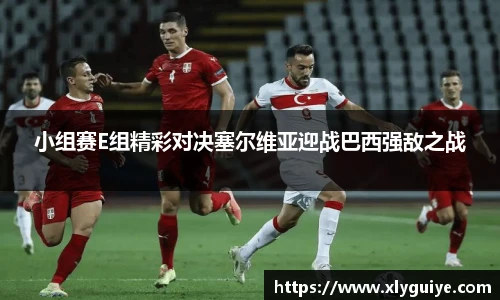 小组赛E组精彩对决塞尔维亚迎战巴西强敌之战